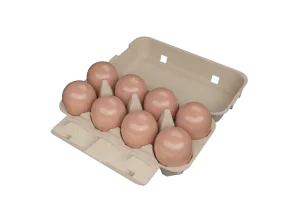 8-EGG BOX